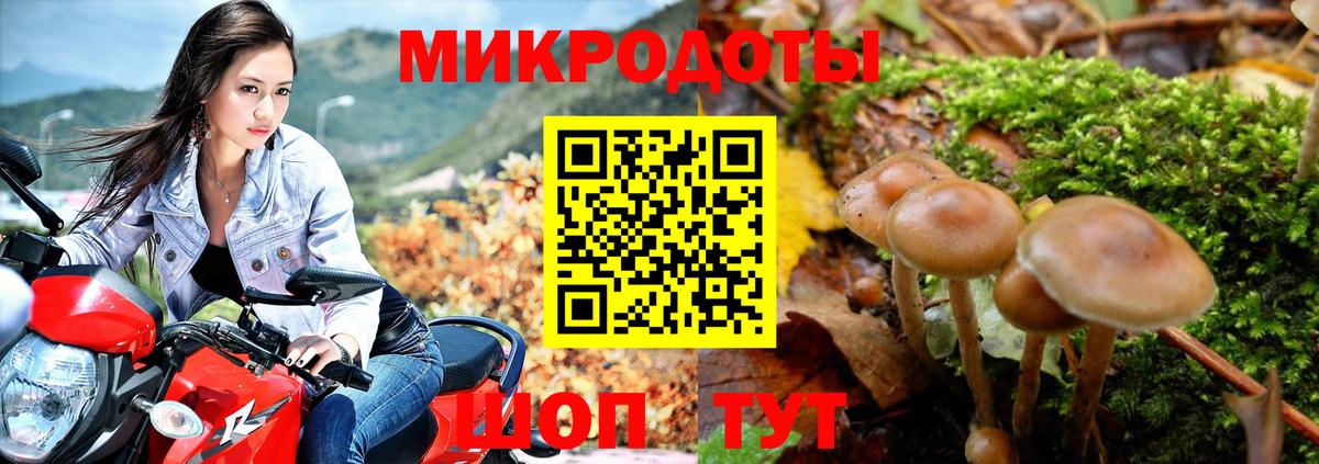 наркотики  Псилоцибиновые грибы Magic Shrooms  Галлюциногенные грибы Magic Shrooms  Вход с VPN  Назрань 